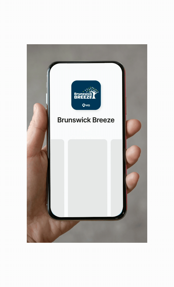 Brunswick_Link_HowToRide_anim_Step01_1