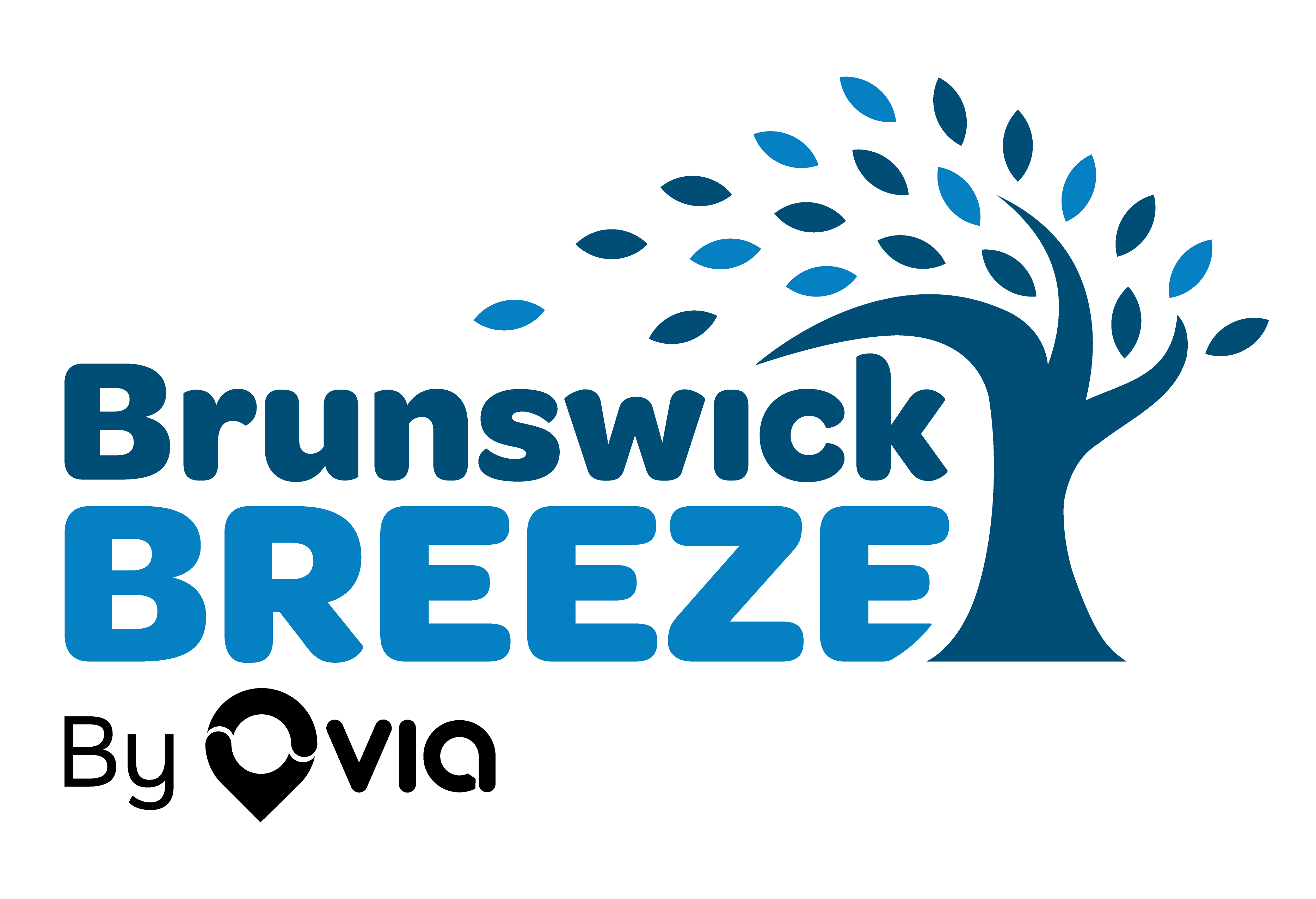 Brunswick Breeze logo