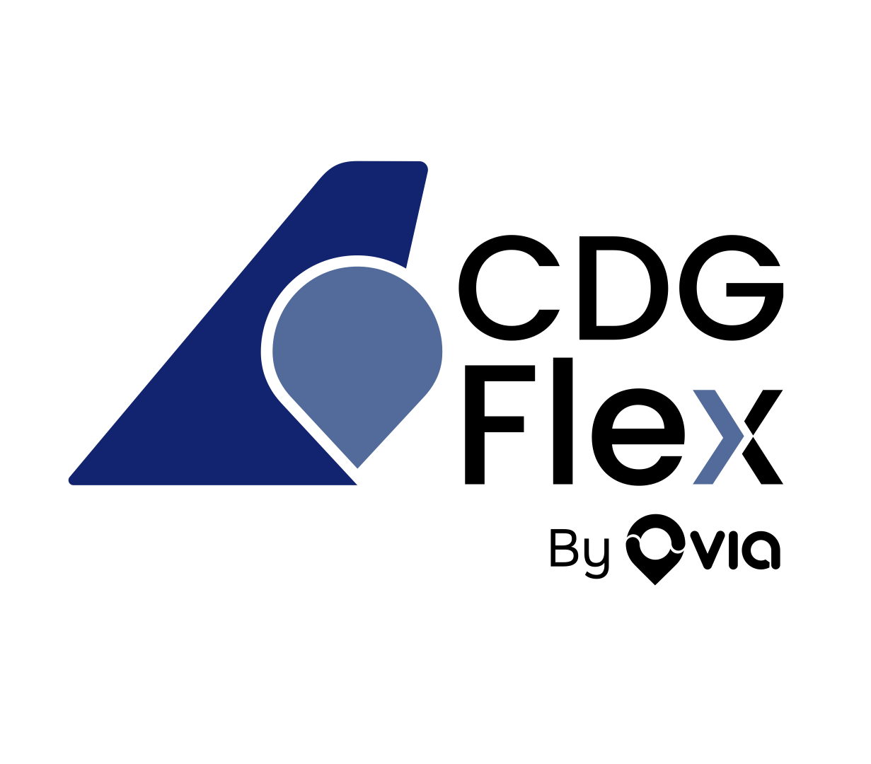 CDG Flex logo