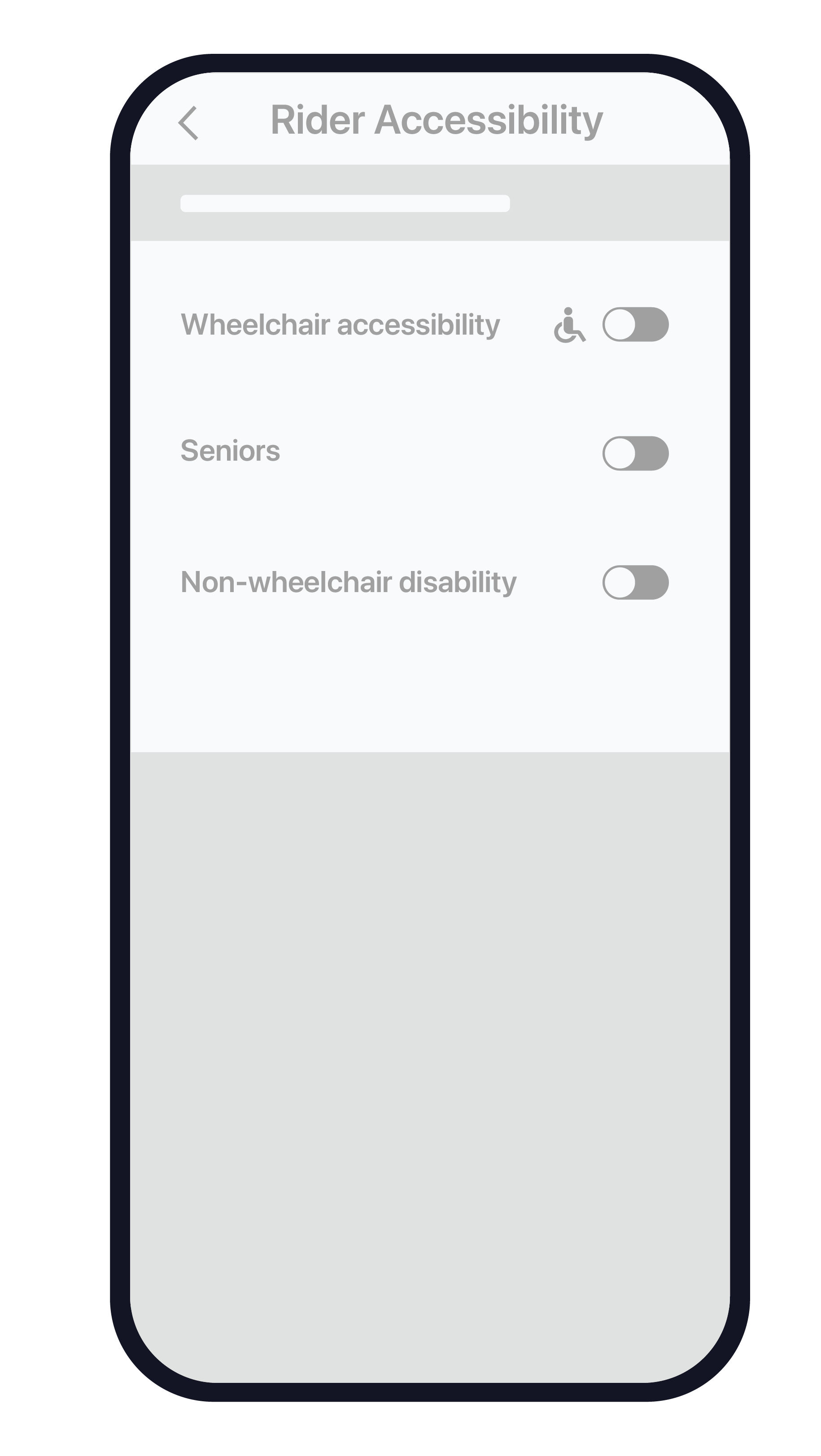 Accessibility Settings